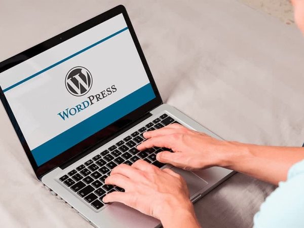  Beginner Guide to WordPress API